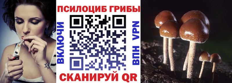 KRAKEN рабочий сайт Моздок Галлюциногенные грибы Magic Shrooms наркошоп
